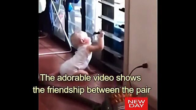 Fuori fa freddo: il bimbo fa entrare il cane