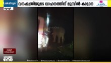 തൃശൂരിൽ വനം മന്ത്രിയുടെ വാഹനം കാട്ടാനക്ക് മുമ്പിൽ പെട്ടു