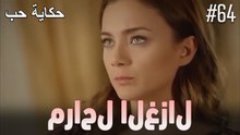مشاهد الغزال