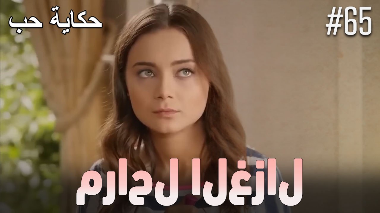مشاهد الغزال