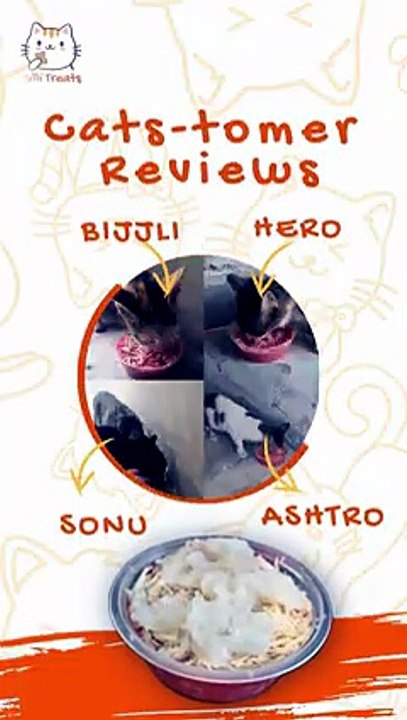 Billi Treats' Food Review! #CatJellyFood #HomemadeCatFood