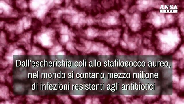 Infezioni, quegli antibiotici che non bastano piu'