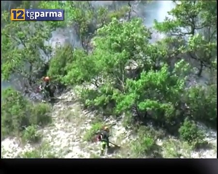 Emergenza incendi boschivi: scatta il piano estivo regionale