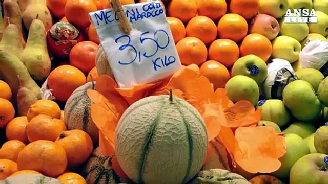 Arriva il caldo, l'albicocca è la regina dell'estate