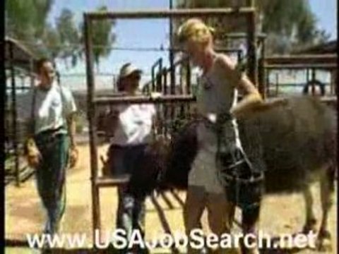 Animal Training Jobs, Employment and Career Opportunities