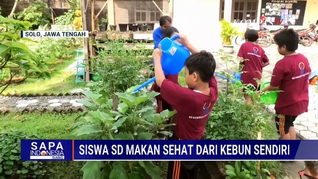 Penuhi Gizi Siswa, Sekolah Dasar di Solo Kembangkan Program Ketahanan Pangan Lewat Kebun Sendiri
