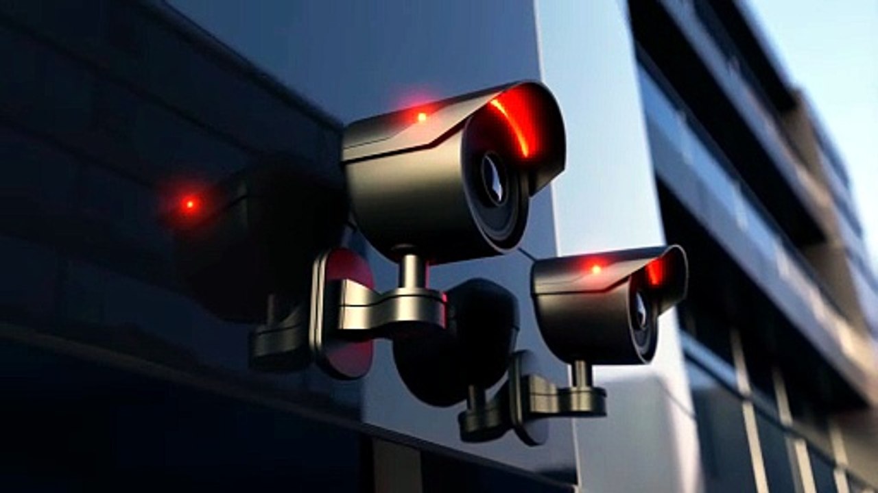 PAP Ltd – Smart Security Partner