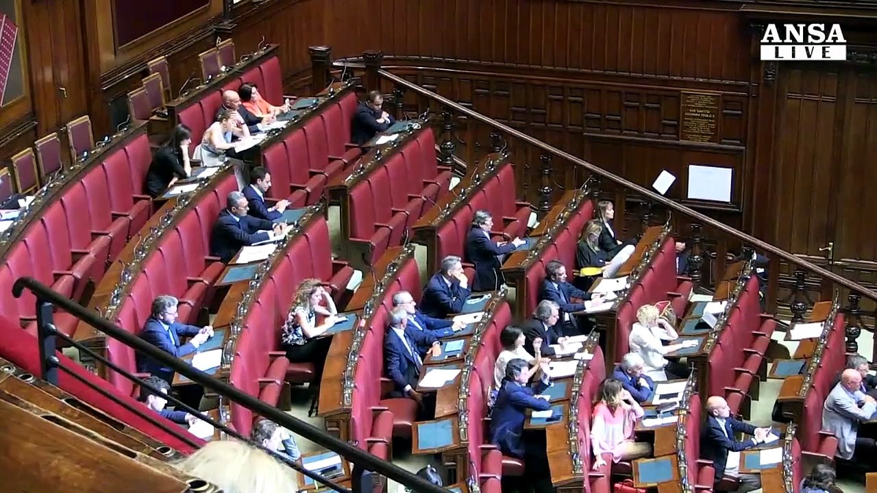 ANSAtg delle ore 8
