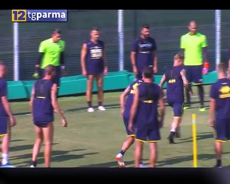 Parma, ufficiale Ciciretti. Ora la punta: Inglese e Quagliarelli in pole Video