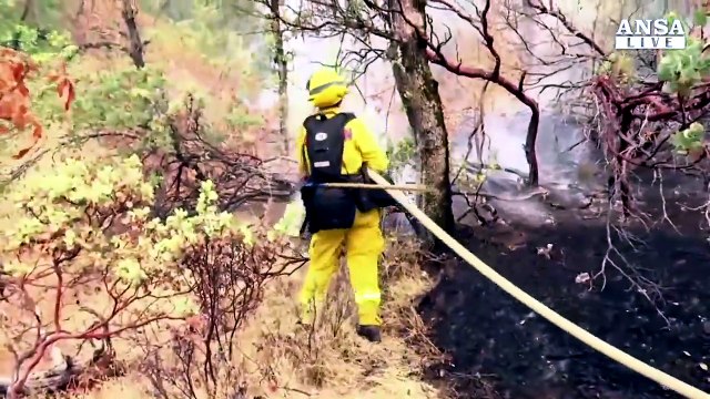 Usa: incendi in California, evacuate 10.000 persone