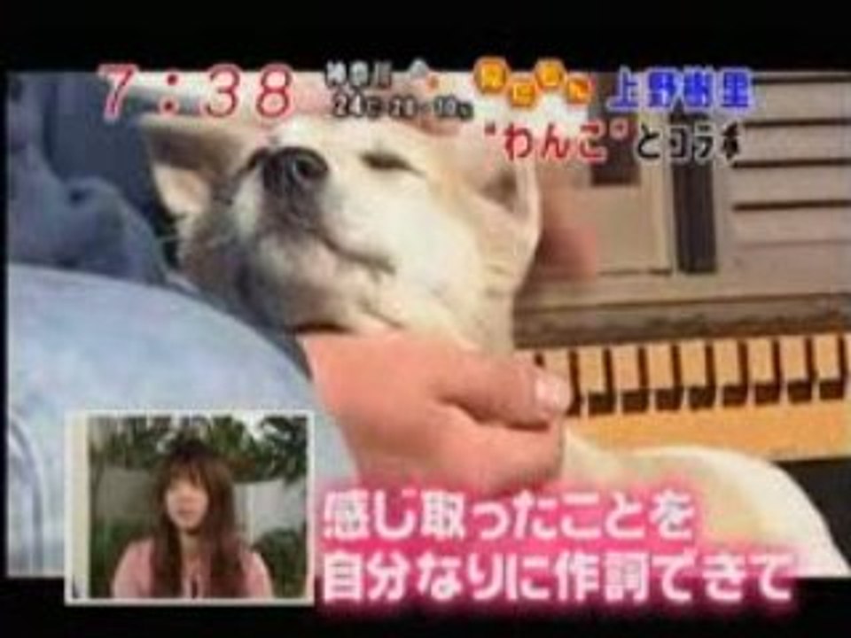 [080618]「わんこ THE MOVIE 2」[0736]