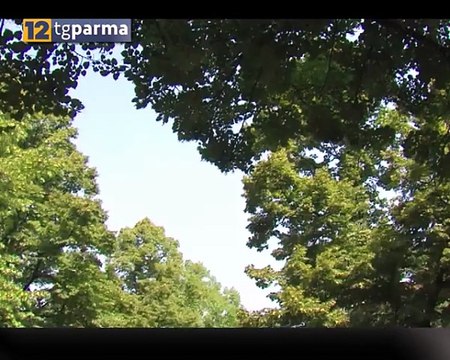 Meteo, nel week end ritorna il maltempo, pioggia sino a lunedì Video
