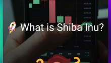 What Is Shiba Inu? What It Is, Overview, Works & Guides | Explained | The Crypto Blunt