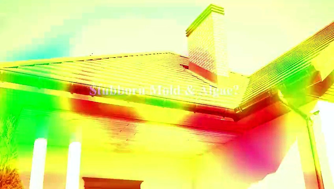 Pressure Washing Service