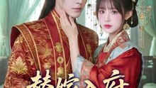 AI短剧合集 - 替嫁入府，郡王劝我别演了