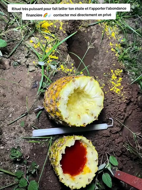 Rituel d'amour avec l'ananas retour affectif rapide efficace en 72h marabout puissant voyant papa sidibe