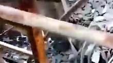 Si carica il cane soccorritore sulle spalle per andare a cercare i dispersi Video
