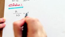 Matematik Oran Orantı