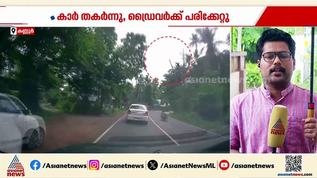 ഓടിക്കൊണ്ടിരുന്ന കാറിന് മുകളിലേക്ക് തെങ്ങ് വീണു; യാത്രക്കാർക്ക് പരിക്ക്