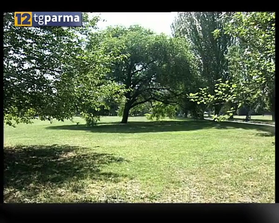 Per una pallonata rissa tra stranieri al Parco Falcone Borsellino