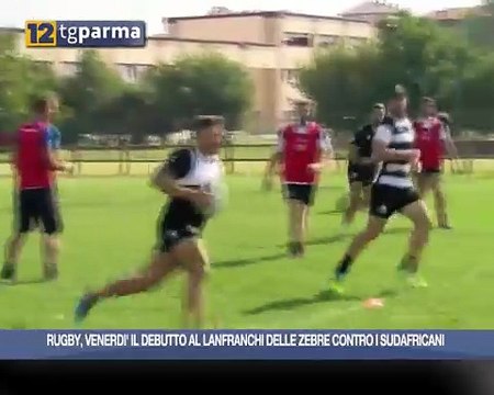Rugby, venerdì il debutto al Lanfranchi delle Zebre contro i sudafricani Video