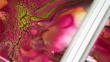 SYMPHONIE FUSHIA