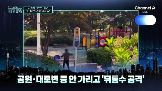 [김종석의 리포트]까마귀의 습격…“눈 마주치지 마세요”