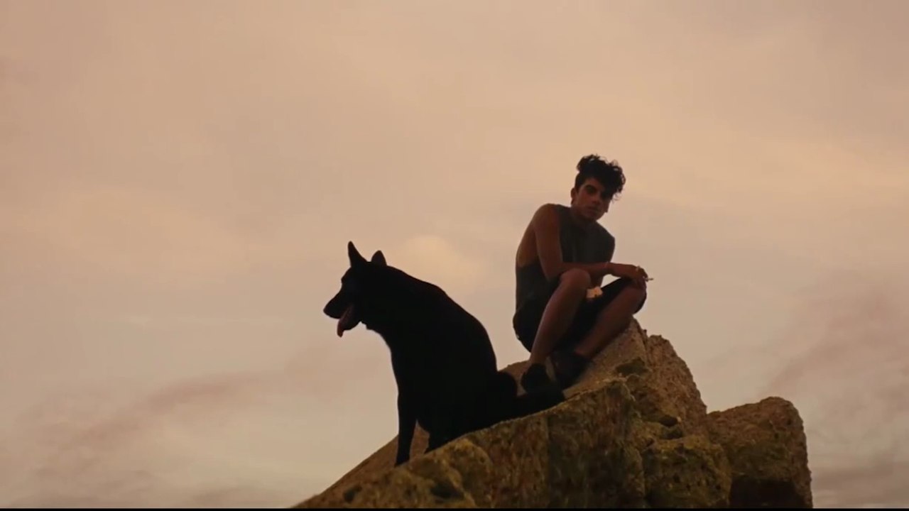 Ava (2017)