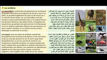 مملكة الحيوان - تكيف الحيوانات - فسيولوجيا الإنسان"