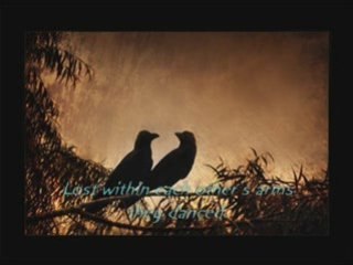 My Dying Bride - The Light At The End Of The World