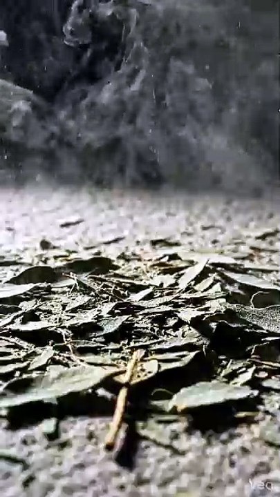 Satisfying Dried Leaf Shattering ASMR | Crisp Texture Macro Reveal
