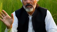 Molvi Ki Fasal Aur Gadah