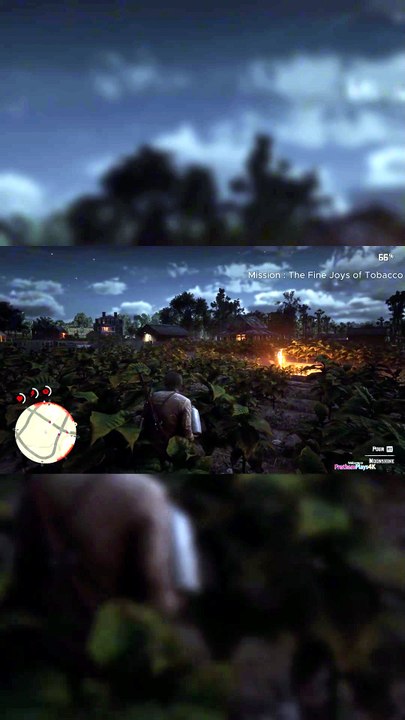 fine joys of tobacco or horse flesh for dinner Arthur Pours Fields RDR2 Mission Fine Joys of Tobacco