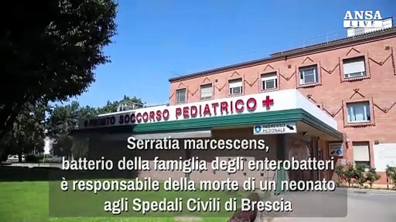 La resistenza dei batteri