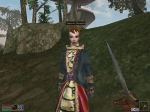 Walkthrough morrowind com. francais: PARTIE 2