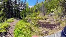 À Santa Cruz, un homme sur son VTT face à un ours confondu avec son chien