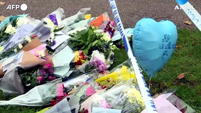 Regno Unito, il terrorismo islamico dietro l'uccisione del deputato Tory