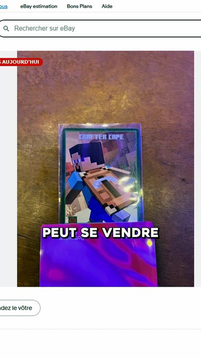 1000€ pour UNE CAPE Minecraft ?! 😱
