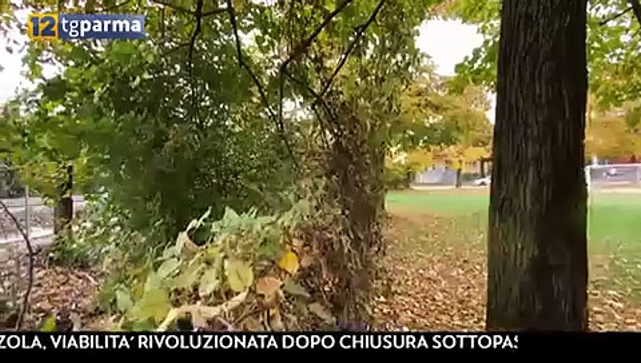 richieste e critiche dai quartieri