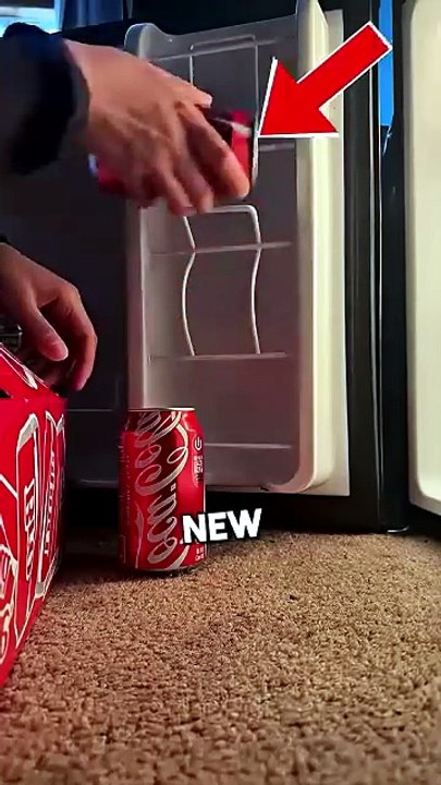 Really Weird Fridge 🤨