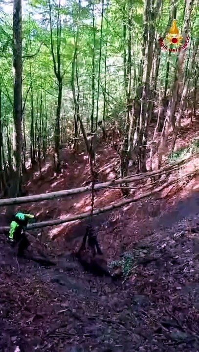 Ventasso, cavallo precipita in un canalone: il salvataggio in elicottero