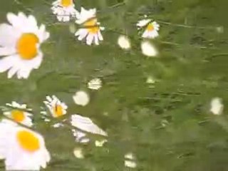 Autrement dit le jardin_Marie HERBRETEAU