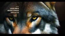 LOBO, MORIR MATANDO | CAPÍTULO 63