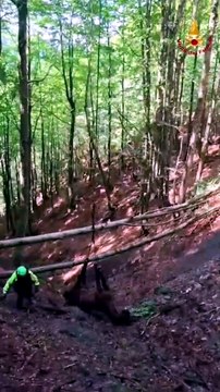 Cavallo precipita nel dirupo, salvataggio spettacolare: il video