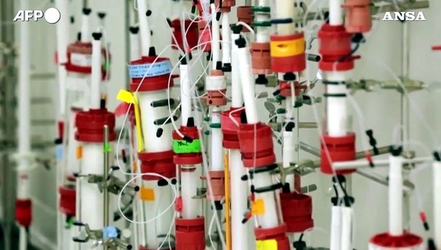 Ok a Novavax dall'Ema (Agenzia europea dei medicinali) , il vaccino per convincere gli scettici