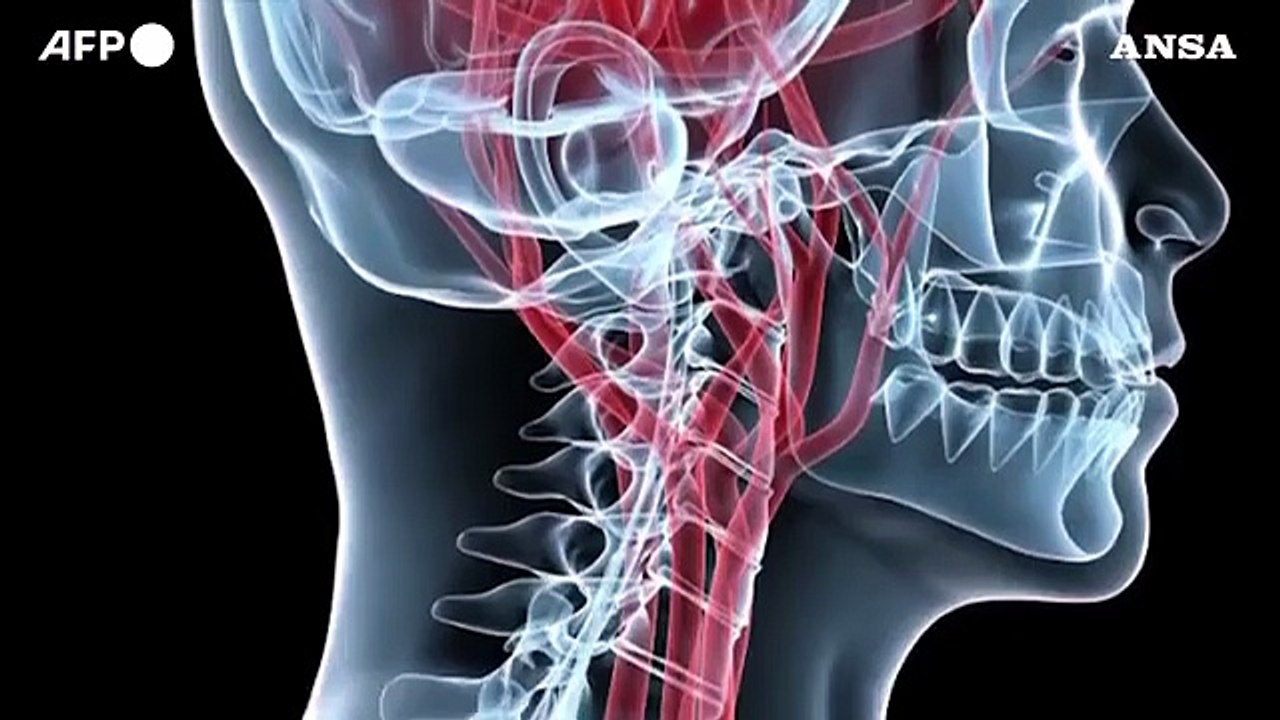 Catturata l'impronta del cervello
