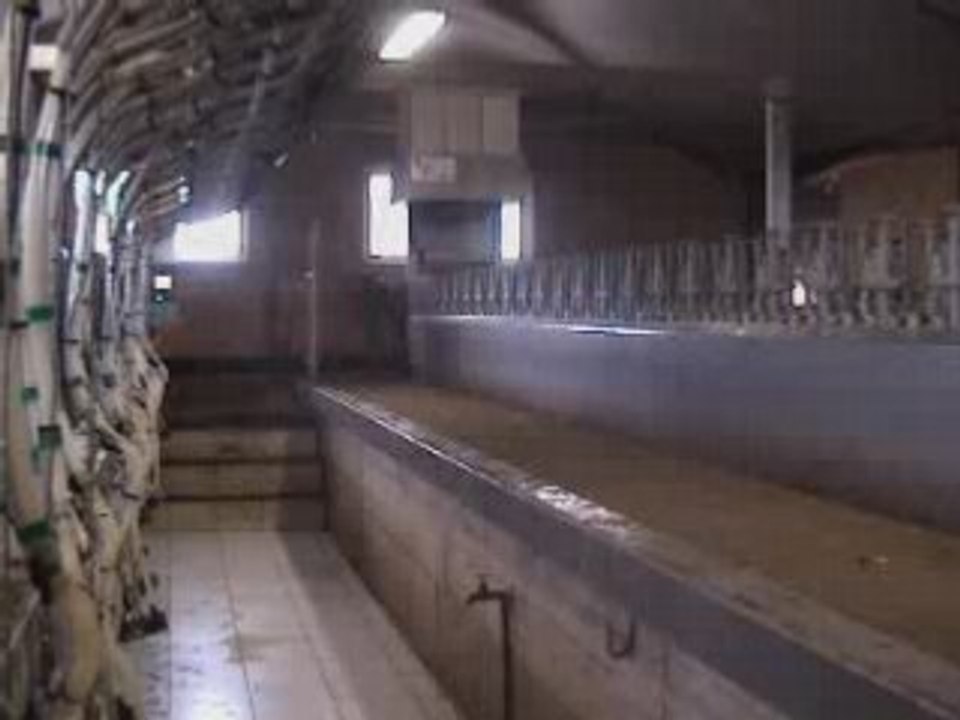 Eurostalle chevre