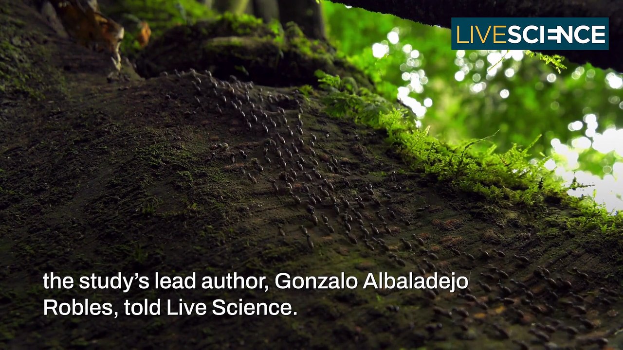 Which Animals Will Survive Climate Change