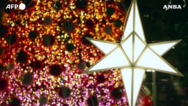 Sydney si illumina per il Natale: l'albero a Martin Place e le luci sulla Cattedrale