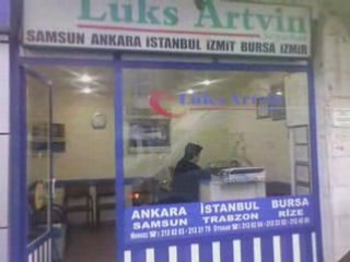 Lüks artvin